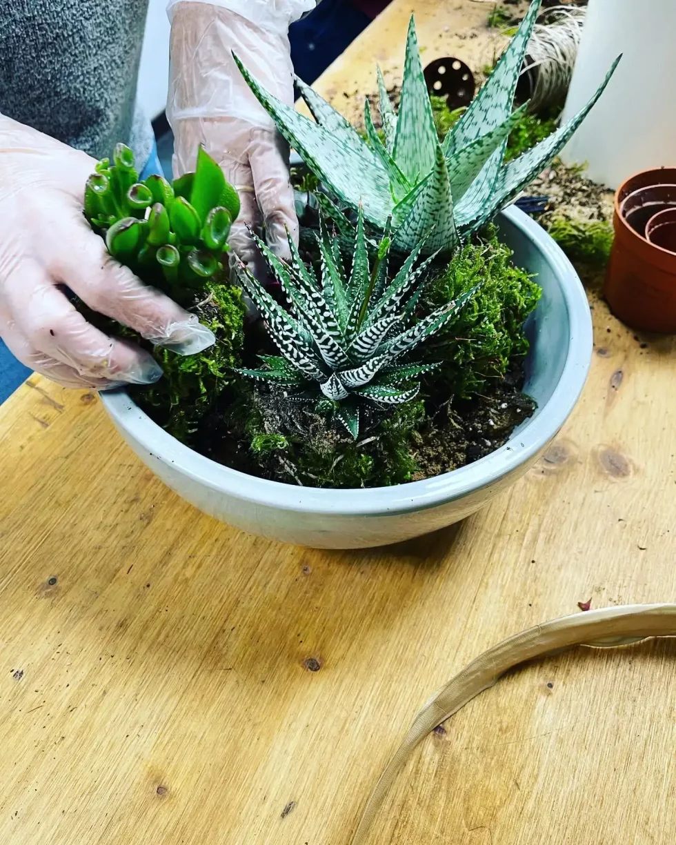 Atelier d'art floral Adulte